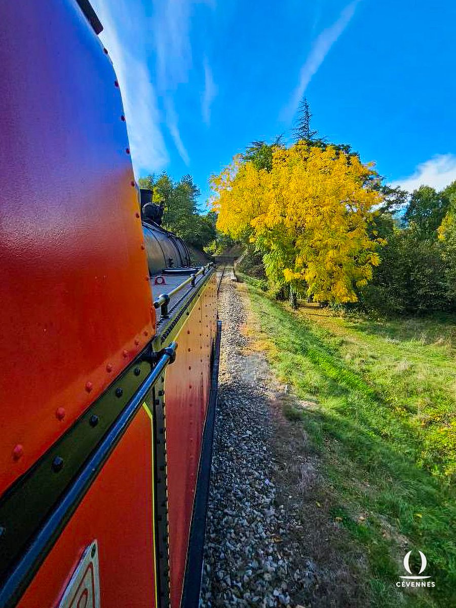 « Tant de rêves, brûlant aux chaleurs des charbons
Tandis que le train va, par saccades pressées,
Éparpillant les champs, les villes dépassées,
Cinglant le vent sans force et déchirant les ponts ! »
🚂🛤️
📖 Anna de Noailles
📷 Cyril Laurent
🚂 Train à Vapeur des Cévennes