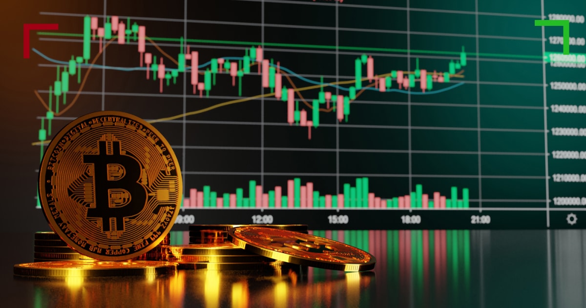 PrincipeCripto tweet media