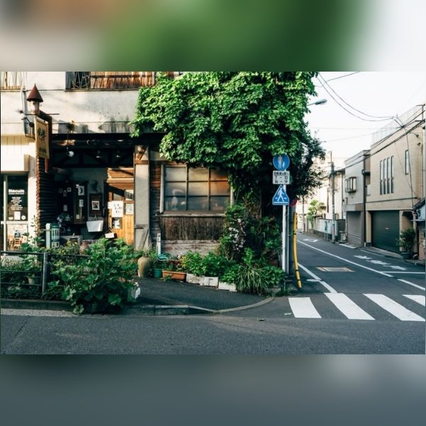 Fumiya, R. 🌾 HIATUS tweet media