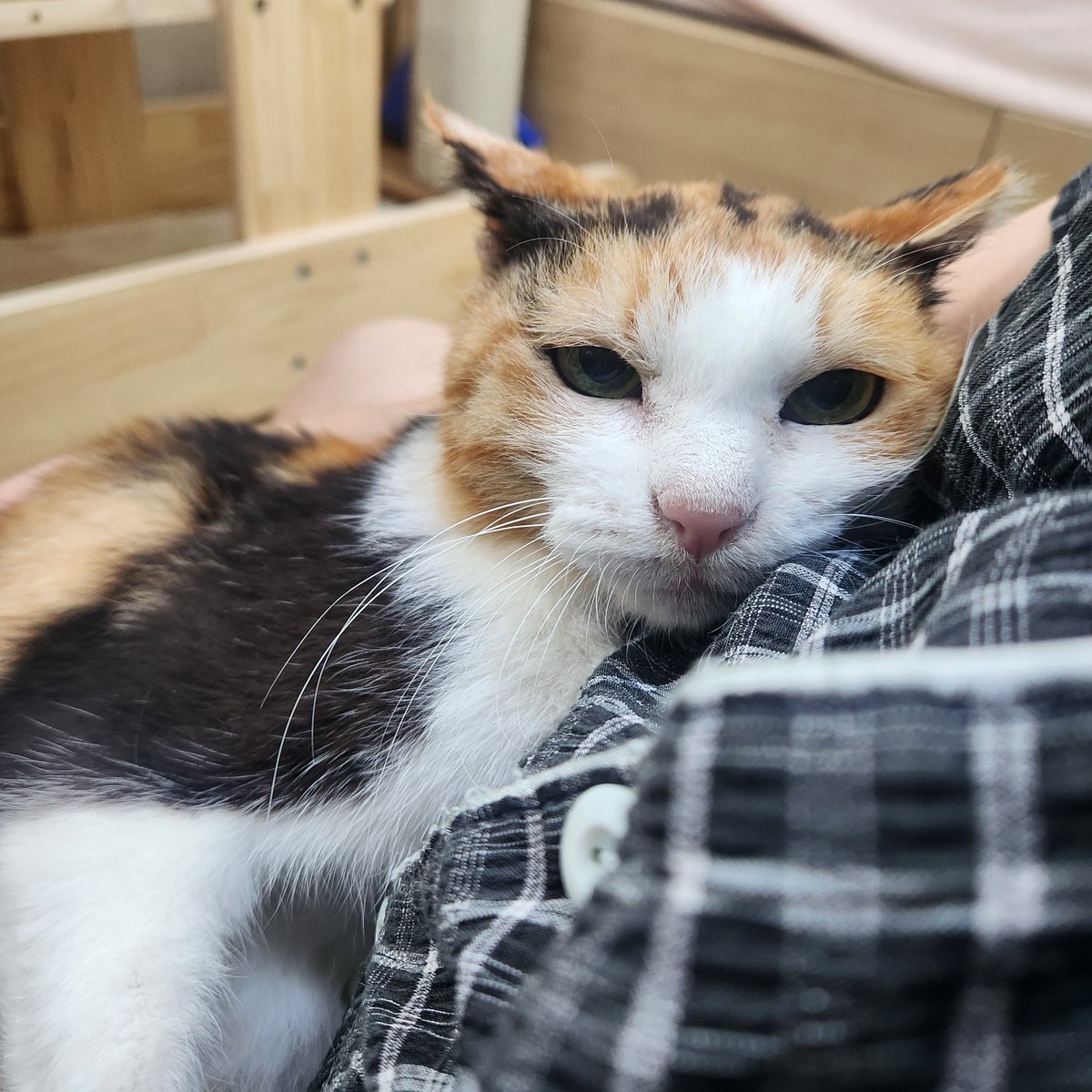 엄마 품이 조은 햇살씨