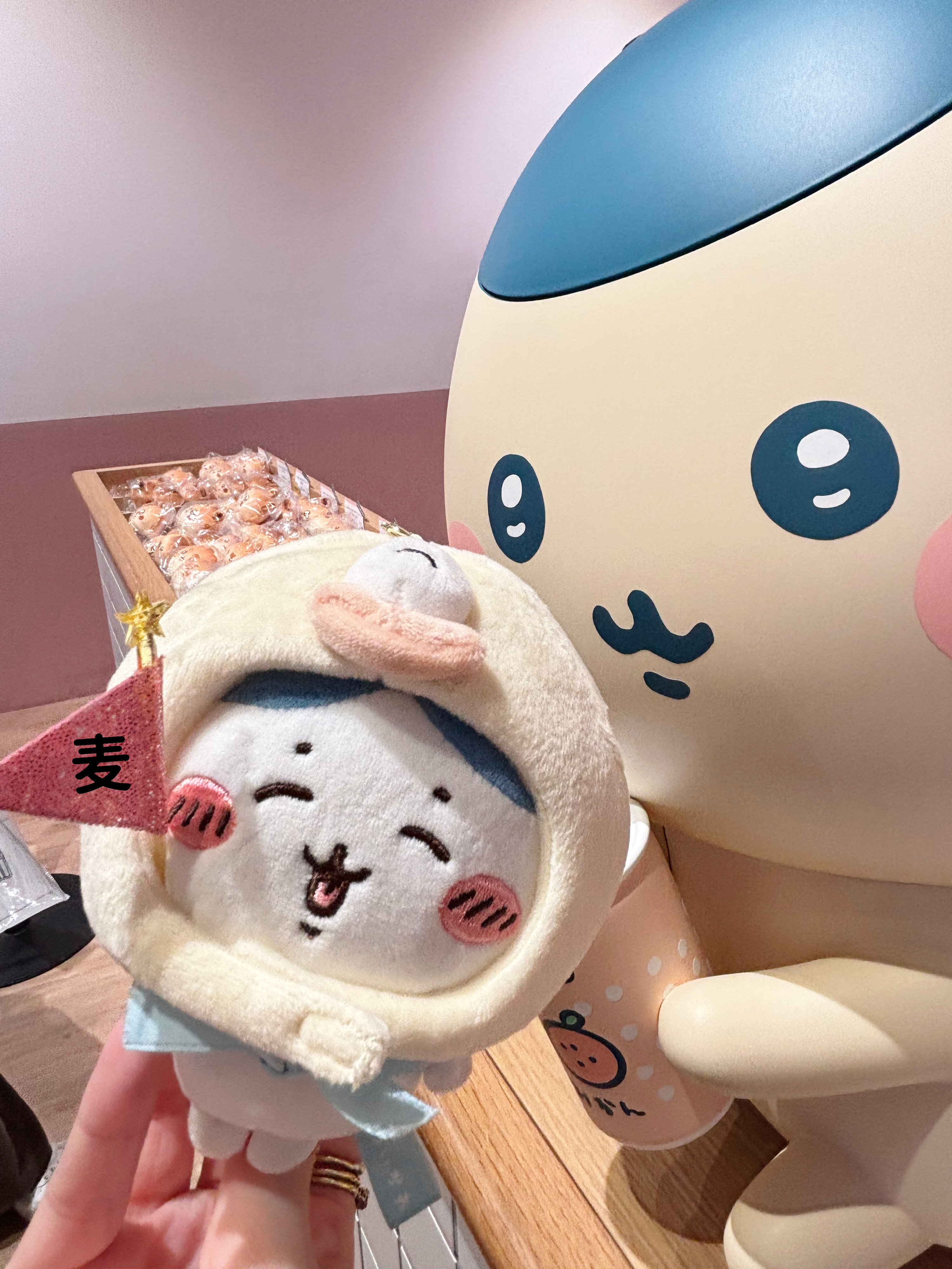 確認用！可愛い子ジカの板付けベイチー（╹◡╹）♡ チーチー♪ (@chi_chi1908) / X