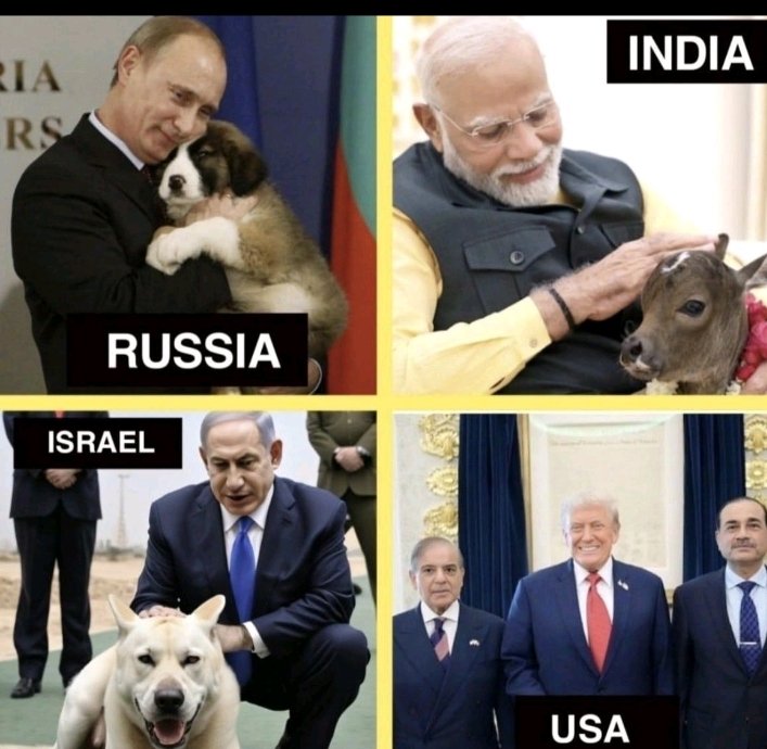 World leaders with their favorite pets 
<a href="/miryar_baloch/">Mir Yar Baloch</a>