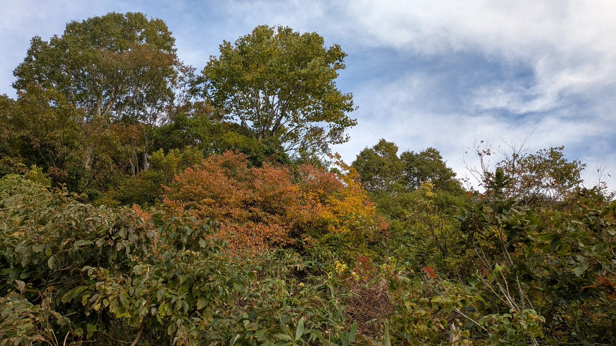 R342を延々と走る日。とりあえずさんさん市場に行く。県境は秋と言うか寒い