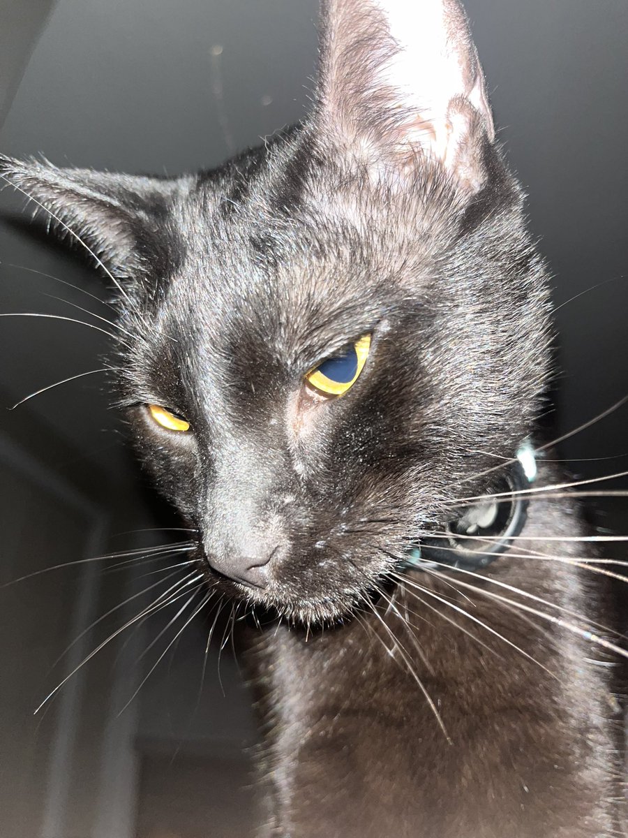 Globsnable's tweet image. my car cuddles me at night #perfectlife