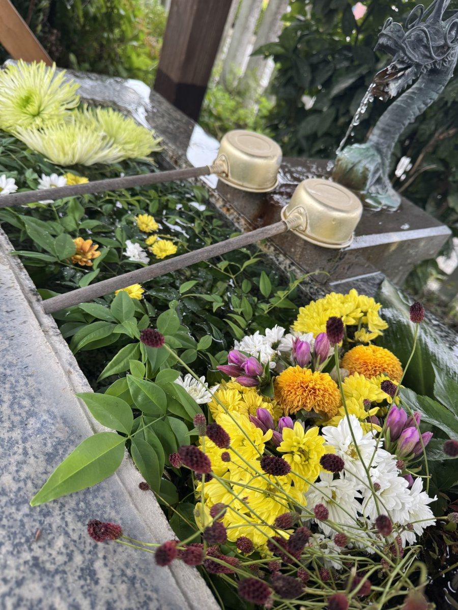 只今の花手水🌼

お近くにお越しの祭は、お参り下されば嬉しいです🐸