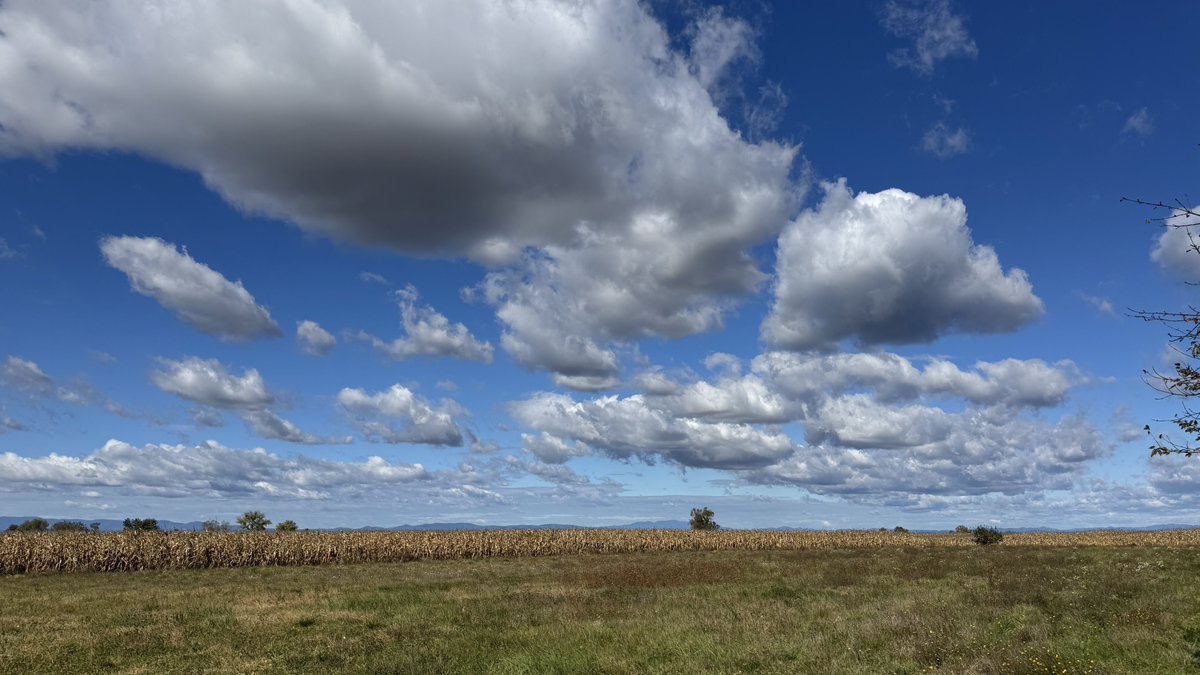darkwife009's tweet image. #sky #cloudstrife #cloudburst #clouds #Cloud #beautifulsky #beautifulday #beautifulhome #BeautifulSoul #nature #NaturePhotography #NatureBeauty #NatureIsMagic #NatureIsAmazing #NatureWhispers #NatureInspiration #NatureVibes