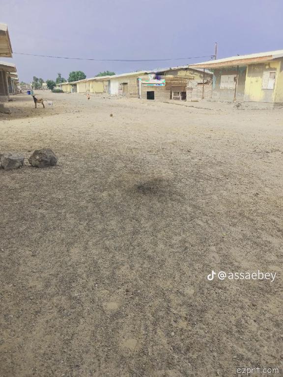 QQarramis's tweet image. Look what has become of ECAFCO under #IsiasRegime, a once fancy neighbourhood in #Assab built by #Ethiopia. #Qasabadniimi #Afar