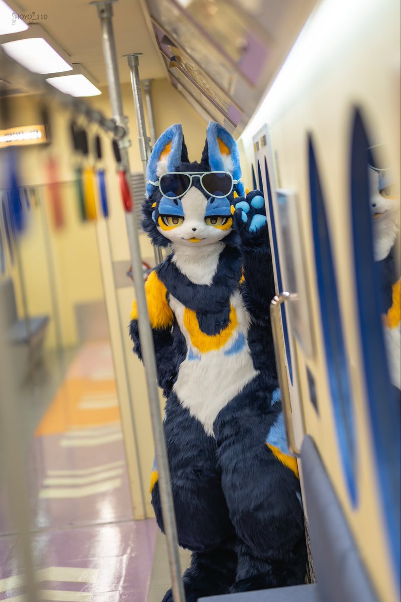 #FursuitEveryday
#𝙇𝙪𝙖𝙝𝙣🌙

✨
