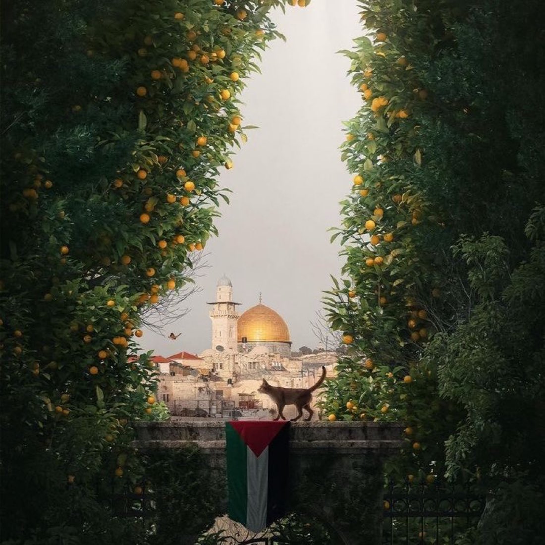 N3Sro's tweet image. #غزة_تنتصر 
الحمدلله الذي أبدل حُزنهم فرحاً اللهم تمم فرحهم بالنصر والعزّ والتمكين وعجّل بالفرج عليهم وآتهم من رحماتك ما تقر به أعينهم، اللهم ارحم شُهدائهم وتقبلهم في عِليين واشفِ جرحاهُم وأتِمَّ عليهُم نعمةَ الأمنِ والأمان وعوِّضهم بكل ما ألَمَّ بهم خيرًا يا ربّ