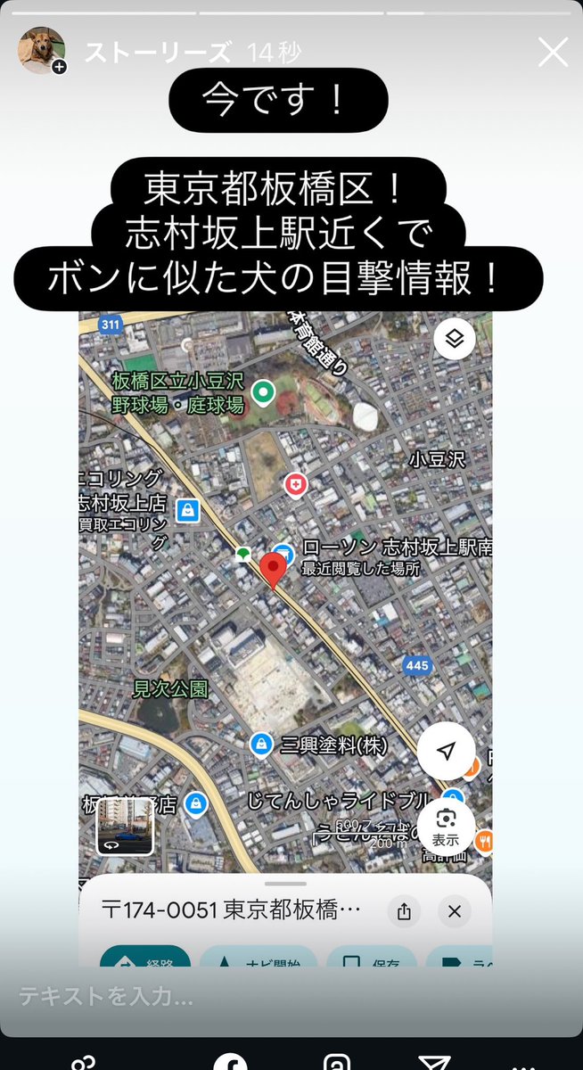 ししまるさま確認 hiro on X
