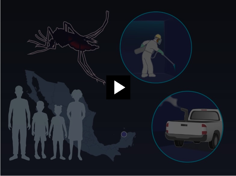Randomized Trial of Targeted Indoor Spraying to Prevent Aedes-Borne Diseases | NEJM nejm.org/doi/full/10.10…