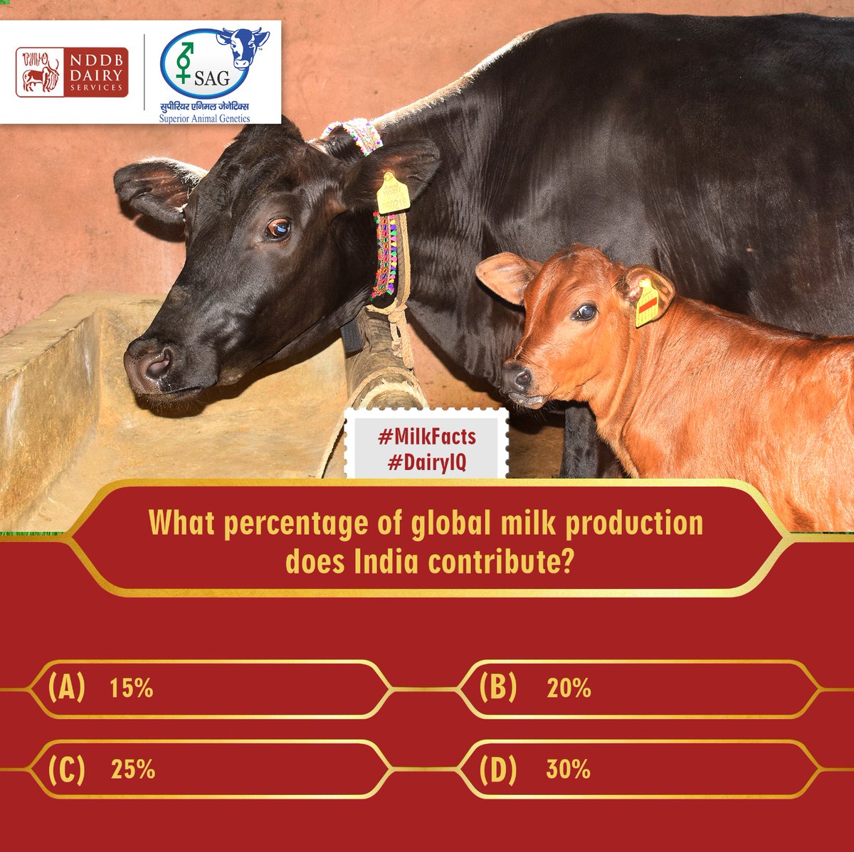 NDDBDairyServ's tweet image. Time for a #feedquiz
Dive into the #cattlefeed conversation and expand your knowledge! 
Share your response in the comments below.