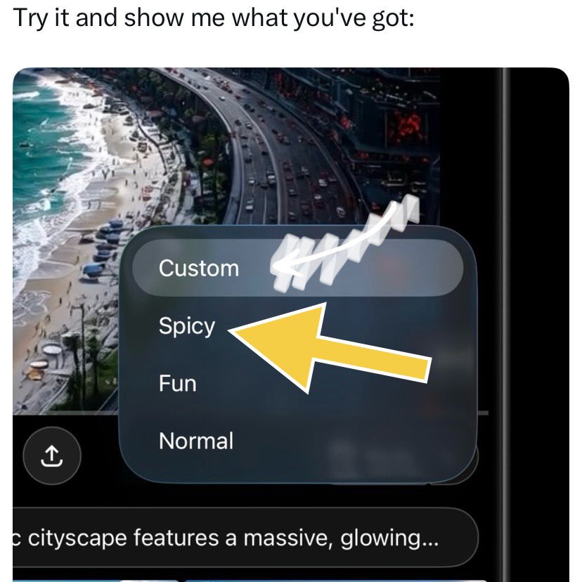 <a href="/elonmusk/">Elon Musk</a> Do this and then select “spicy” to lose all sense of what it’s like to talk to a real woman 😚 Enjoy!