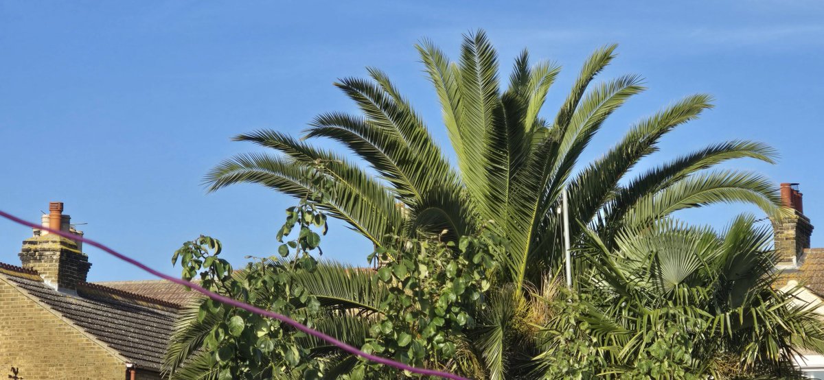 Lovely morning skies over Sheerness on Sheppey today, great to see after the recent cloudy skies.