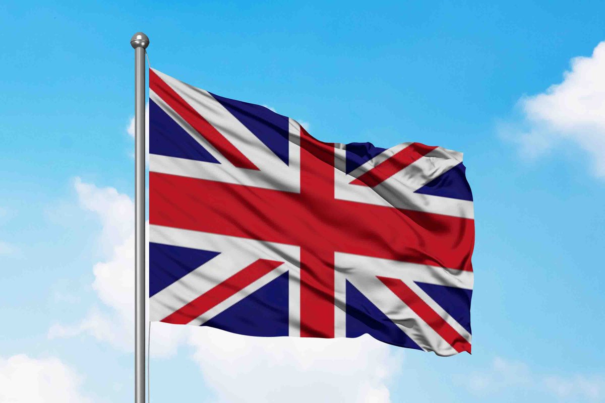 Kyle Chassé / DD🐸 on X