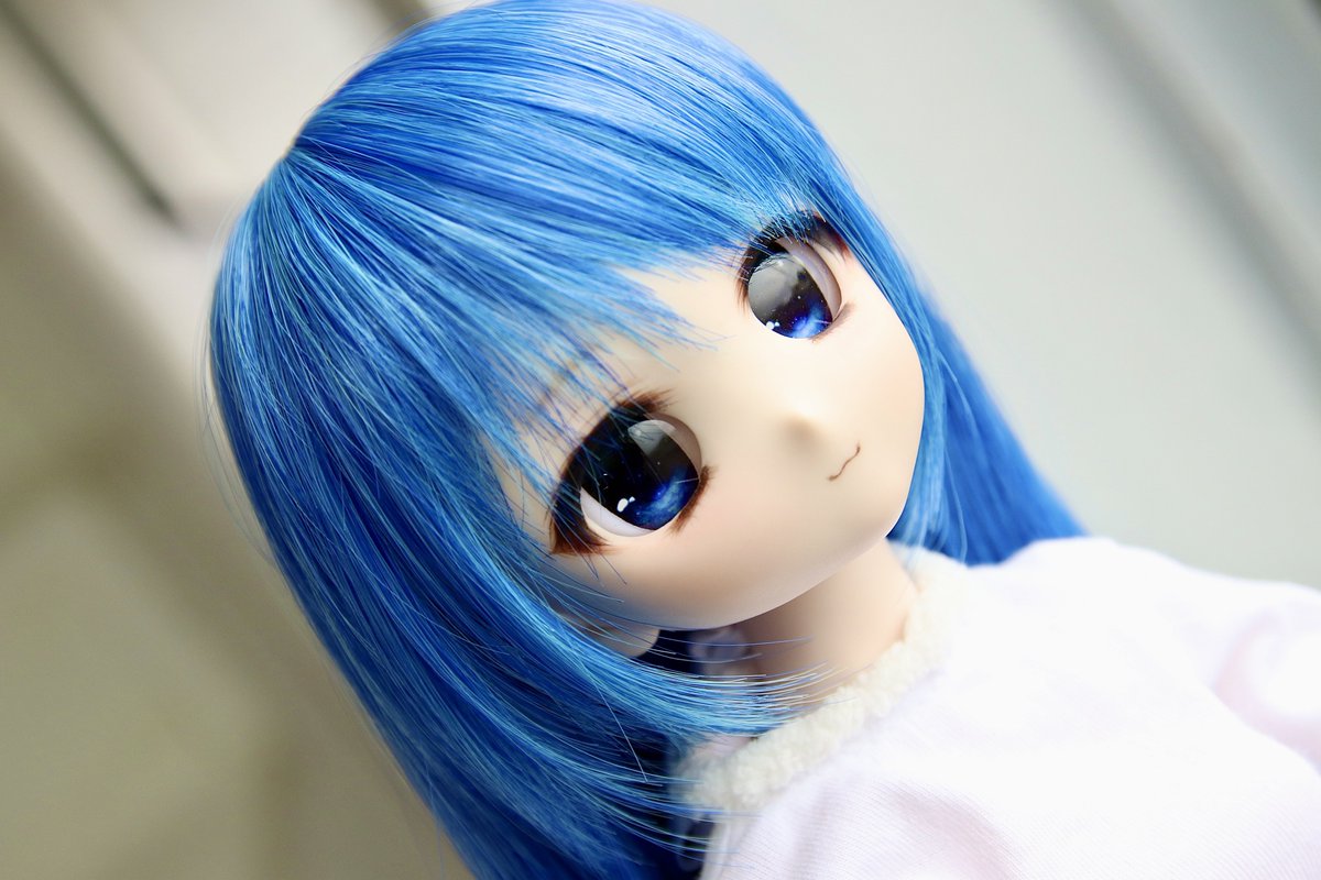 見てくださいこの美少女 #わにわっ娘 #insomnia_wig