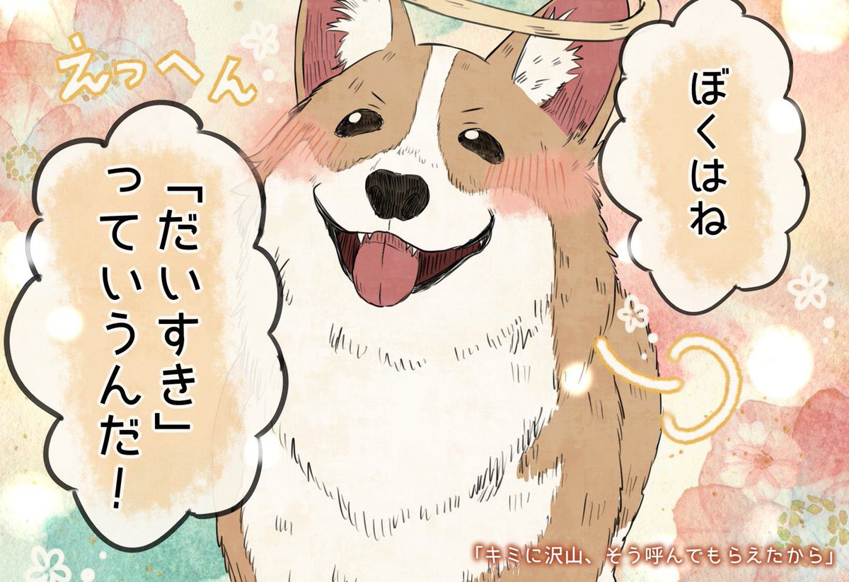 #自分の名前を勘違いしている子
満面の笑み達🐶🐱 