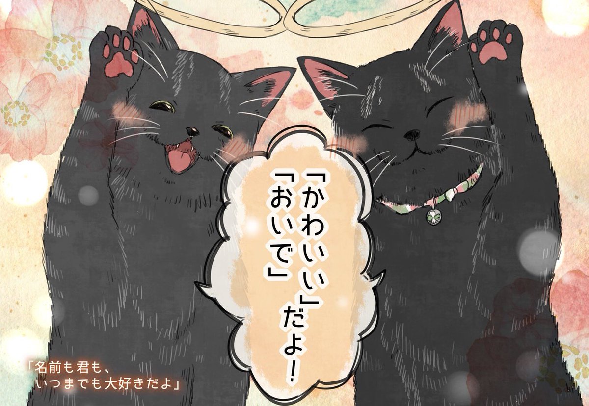 #自分の名前を勘違いしている子
満面の笑み達🐶🐱 