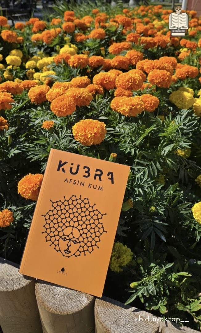 bidunyakitap__'s tweet photo. Kendi yolunu çizer ve o yolda yürürsen, bütün dünya peşinden gelir.

Sizden Gelenler 📸
📸 @nurselin80
📸 Arzu Yerlikaya
📸 @PYucesan57365
📸 @Umbay2000

@afsinkum 💫

#BiDünyaKitap #AfşinKum #Kübra #KitapSöyleşisi #OkumaGrubu #EdebiyatYolculuğu #SöyleşiZamanı https://t.co/wF2RZ6tT13