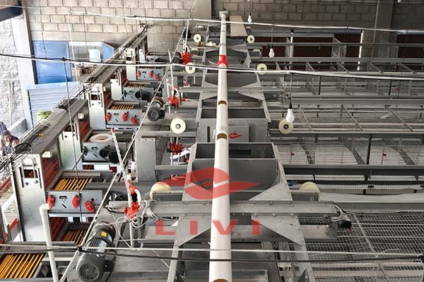 LiviChickenCage's tweet photo. Transform your poultry farm in Zambia! 🚀
40,000‑chicken Layer Battery Cage System with auto feeding, egg collection & manure cleaning. More eggs, less hassle!
WhatsApp: +86 173 4489 8347
https://t.co/PxPSzHP18k
#PoultryBusiness #EggFarming #Automation #SmartFarming #Zambia https://t.co/0bHGo2h2oX