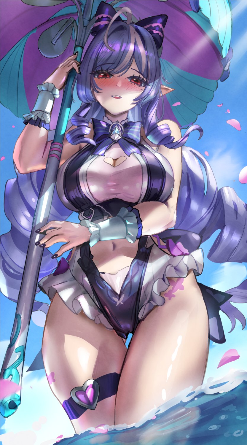 投稿の画像