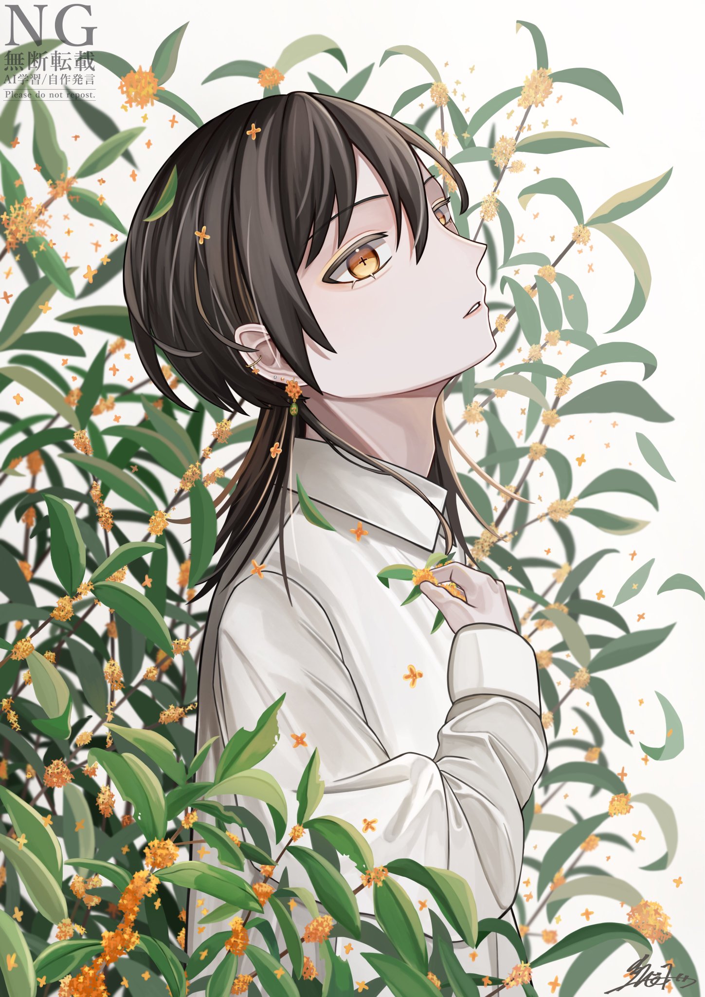 手描きイラスト 原画 創作【金の竪琴】 Shë1￤ご依頼受付中 on X: 