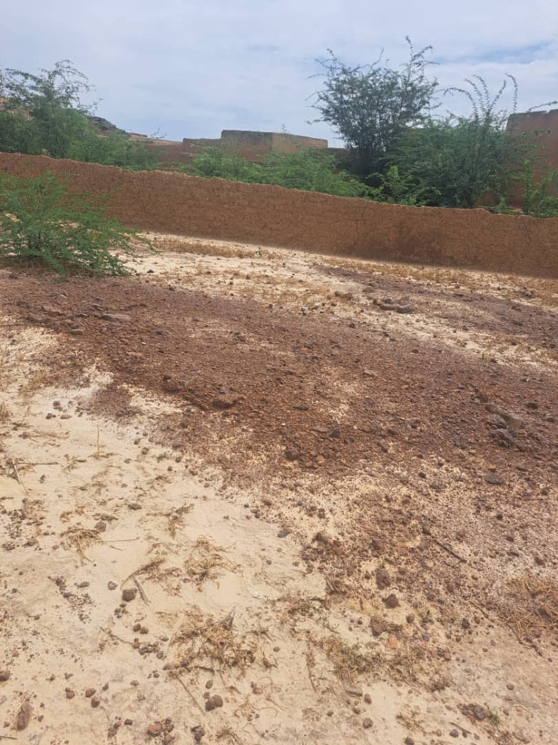 Cipmen's tweet image. #news
🚀 #CIPMEN sur le terrain !
👉Laba : lancement du chantier de la SCOOPS Sawki
👉Ibohamane : visite du nouveau site de la SCOOPS Tatami Arziki
👉Tabalak, Tamaské &amp;amp; Keita : séances de travail avec les bénéficiaires pour le renforcement de capacités.
#ReELMahita
@EnabelauNiger