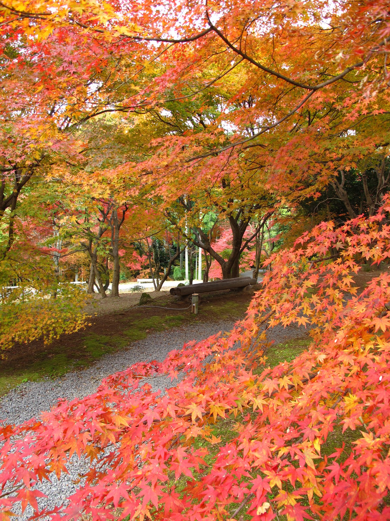 SUNQパス【公式】 on X: 