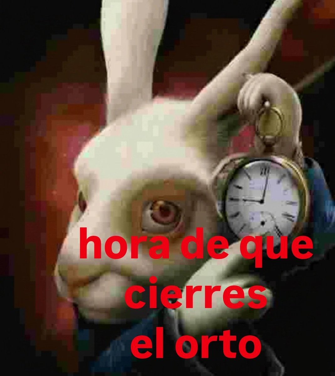 Yo con los chupamedias y los hipócritas de las unimpiadas