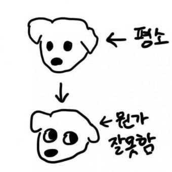 이거같음...ㅋㅋㅋㅋㅋㅋ