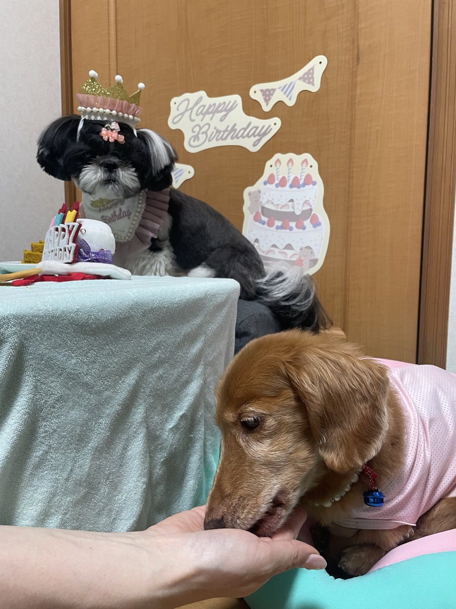 めで子 tweet media