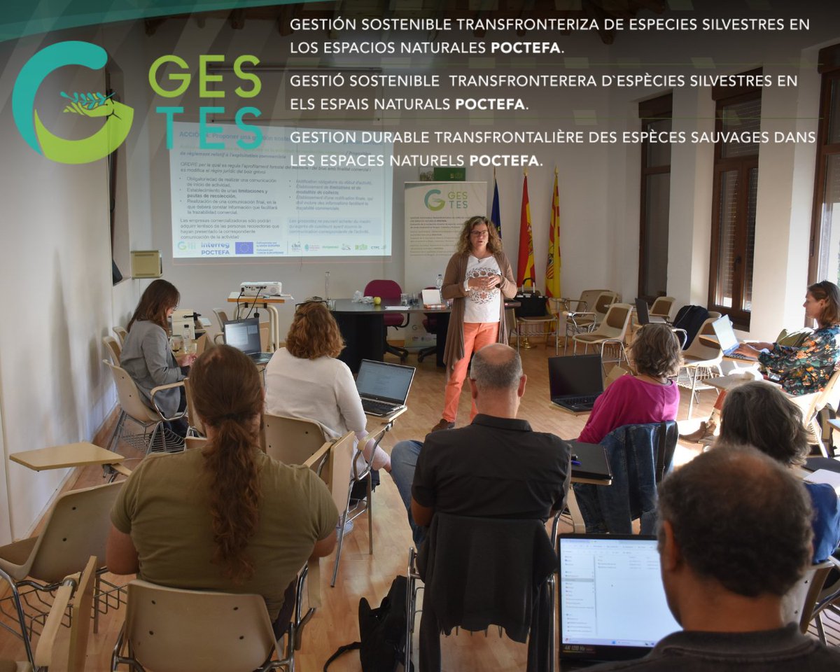 CITA Aragón tweet media