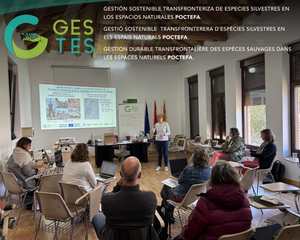 CITA Aragón tweet media