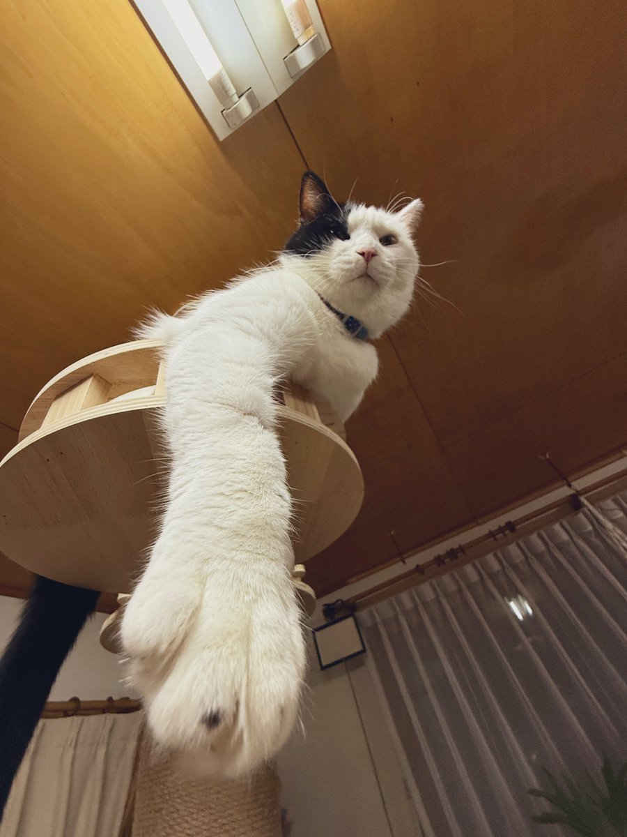 安納 (@unknown_ers) on Twitter photo 