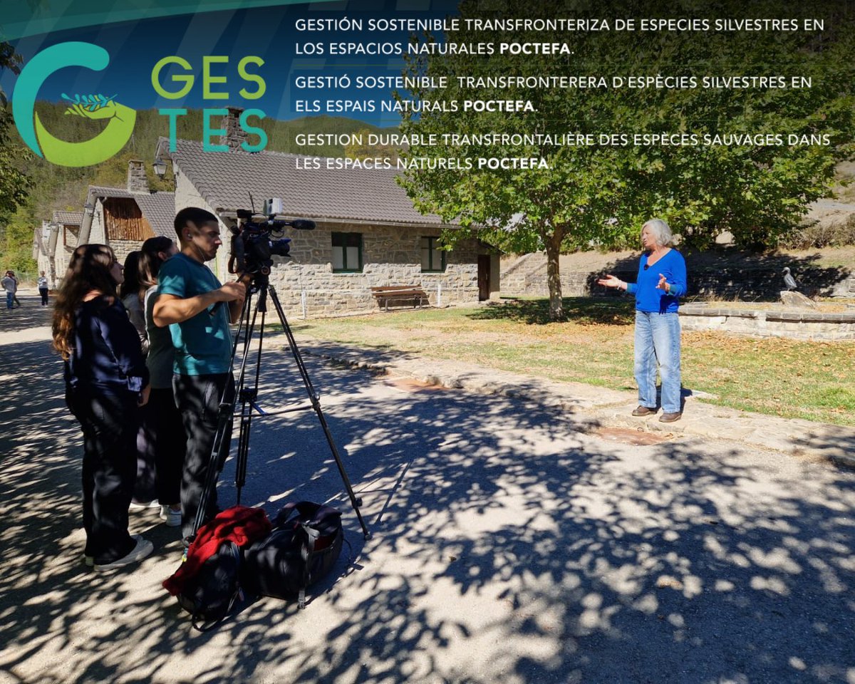 CITA Aragón tweet media