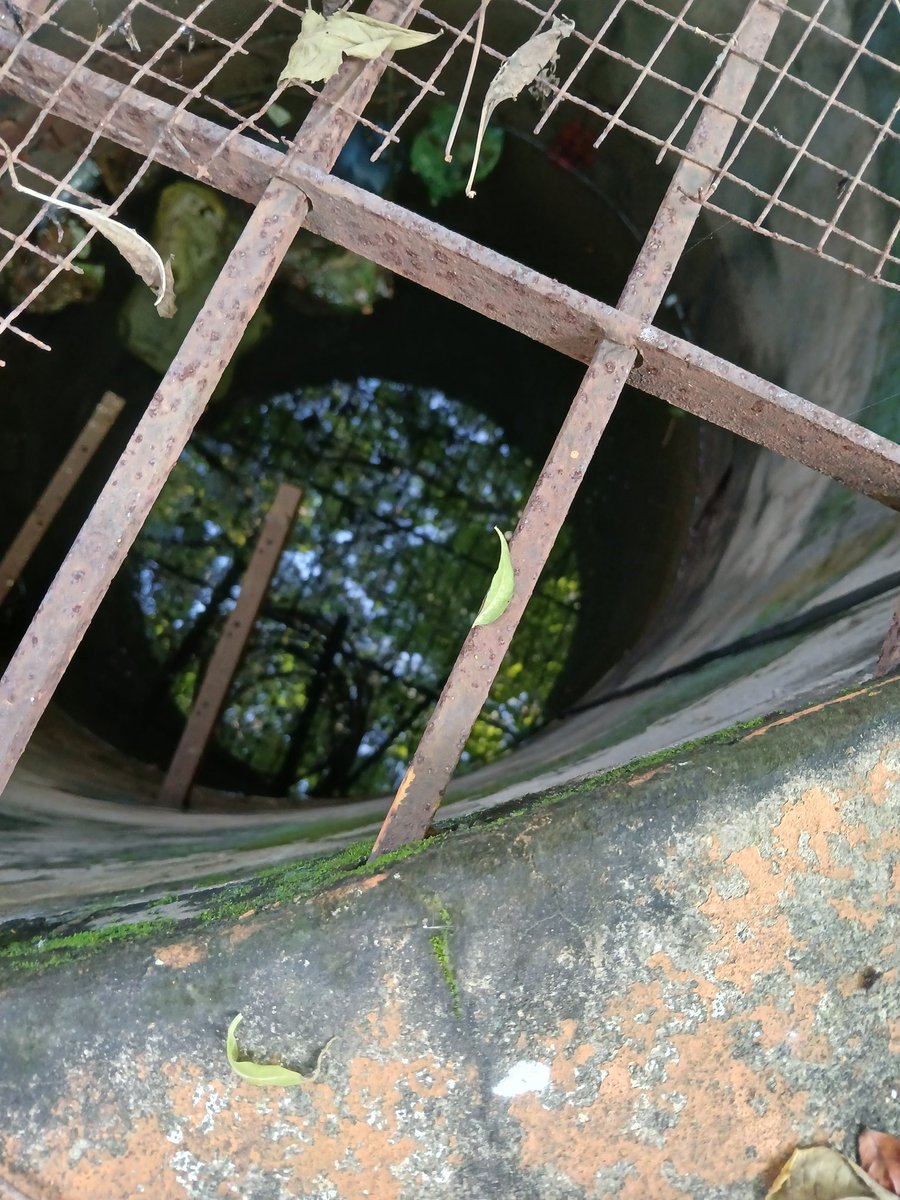 nivedita_Him's tweet photo. #Dugwell
A rarity in metros nowa-days
This is in #Nagpur and the second image shows how much it has rained this year ... see the water level !!! https://t.co/IUqKcwJfqc