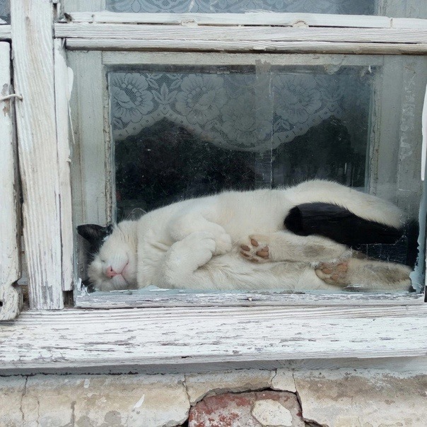 hîv. (@sorrrowfull) on Twitter photo 