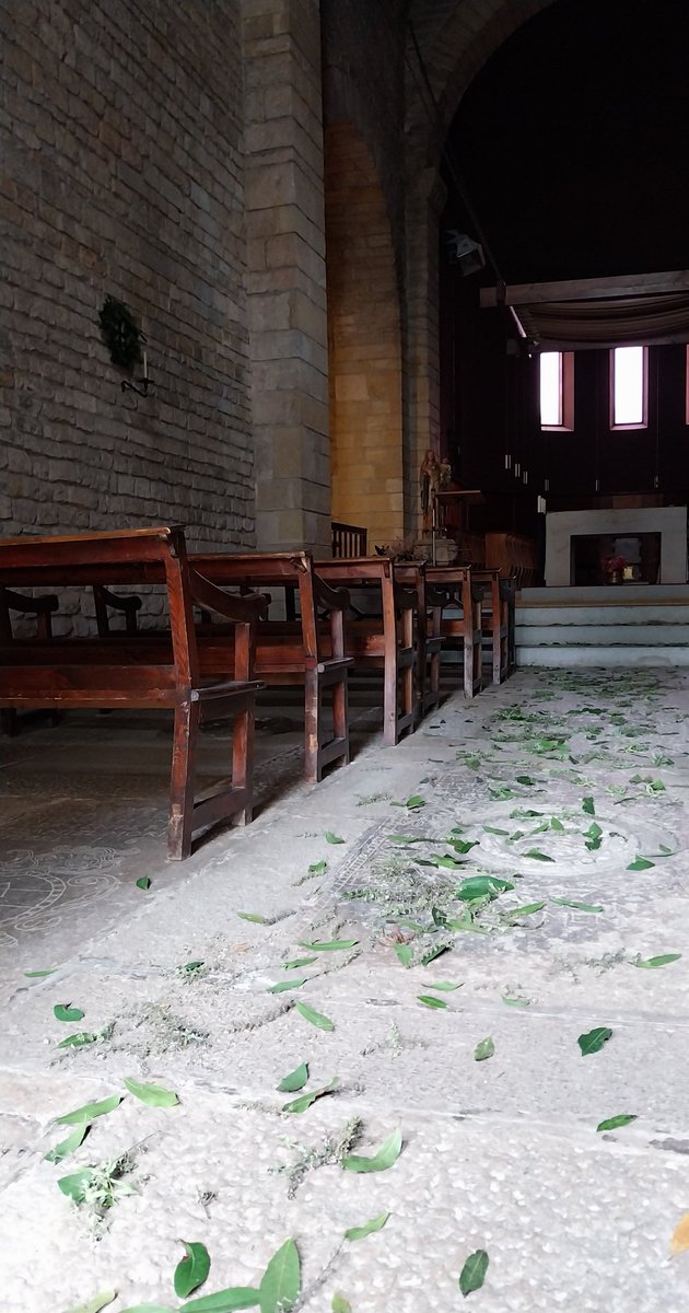 Avui celebrem, com cada any, la Dedicació de l'església del Monestir, que hauria tingut lloc el 9 d'octubre de l'any 1086, avui fa 940 anys. La tarongina i el llorer l'omplen d'olor i a les Vespres, les candeles l'il•luminaran. Hi sou tots convidats, a les 19h.