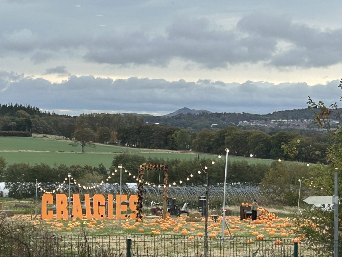 Garry Clark FSB (@fsb_garryc) on Twitter photo We’re underway at our <a href="/FSB_Scotland/">FSB Scotland</a> networking at a pumpkin-tastic Craigies Farm, on the outskirts of Edinburgh!
What an amazing venue! 🎃 We’re underway at our <a href="/FSB_Scotland/">FSB Scotland</a> networking at a pumpkin-tastic Craigies Farm, on the outskirts of Edinburgh!
What an amazing venue! 🎃