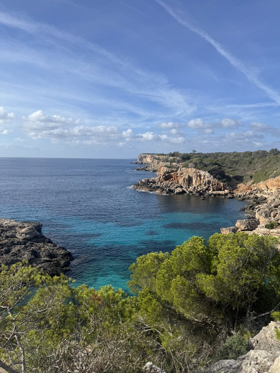 svorklab's tweet image. Summer is back 🌵
🔒 in Mallorca