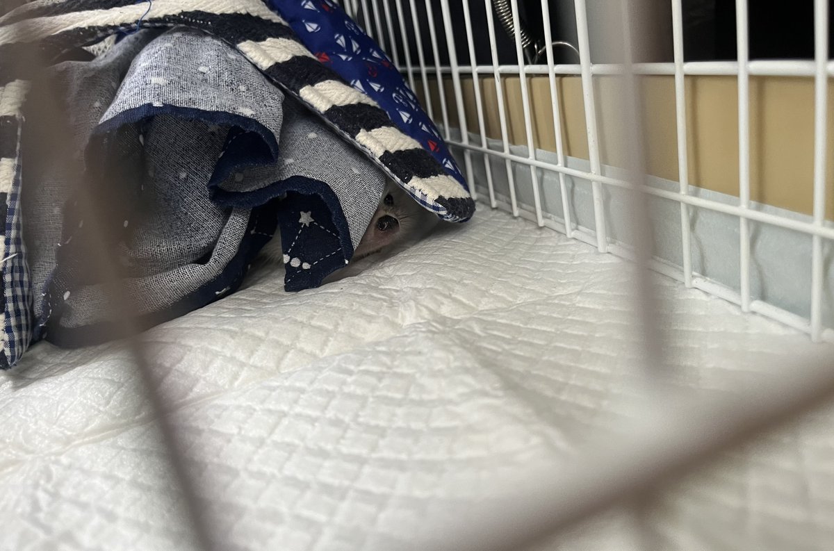 recorecorecore's tweet image. おわかりいただけただろうか