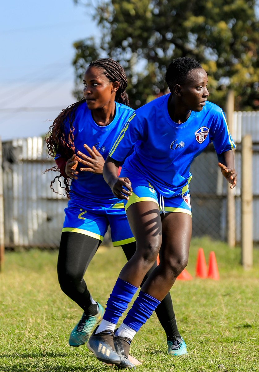 She Maroons Football Club tweet media