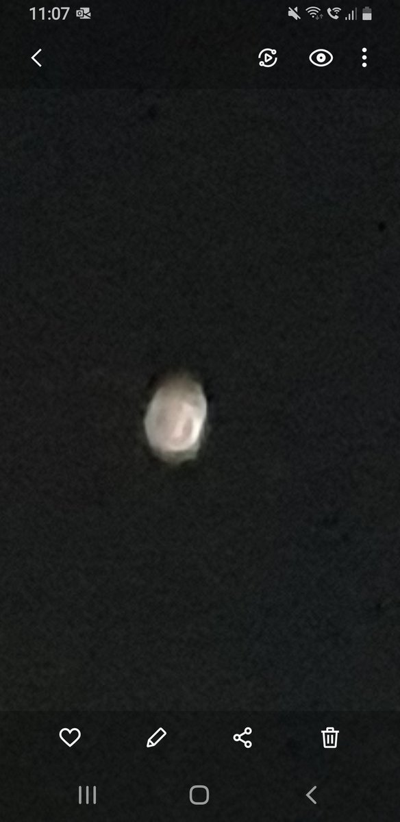 Richard Meaghan IN/TP tweet media