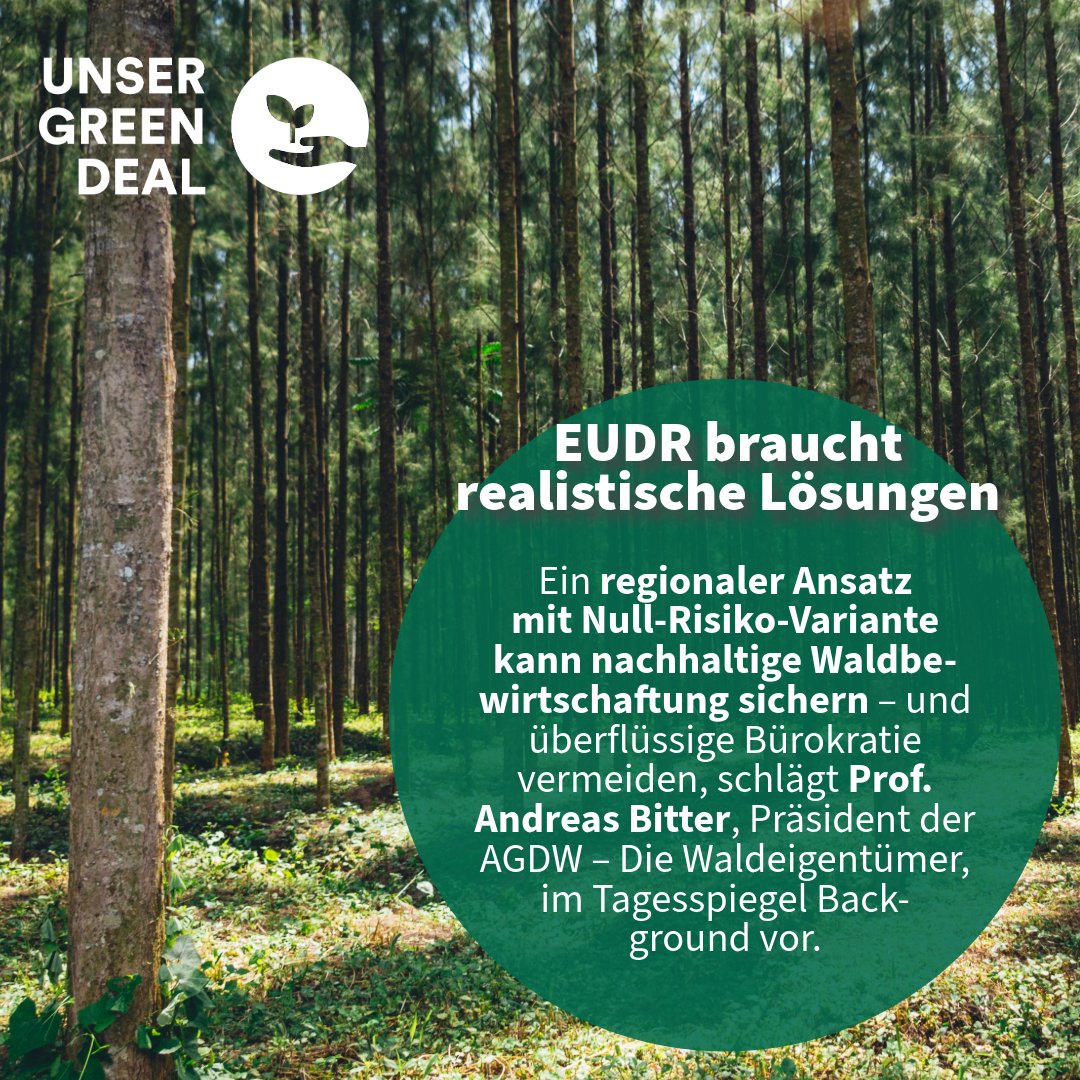 EUDR braucht endlich Praxisnähe! 🌳 AGDW-Präsident Prof. Bitter schlägt im <a href="/Tagesspiegel/">Tagesspiegel</a> Background eine Null-Risiko-Variante für Länder wie 🇩🇪 vor – regional, bürokratiearm &amp; WTO-konform. Nur mit realistischen Lösungen bleibt nachhaltige Waldbewirtschaftung möglich.
🔗