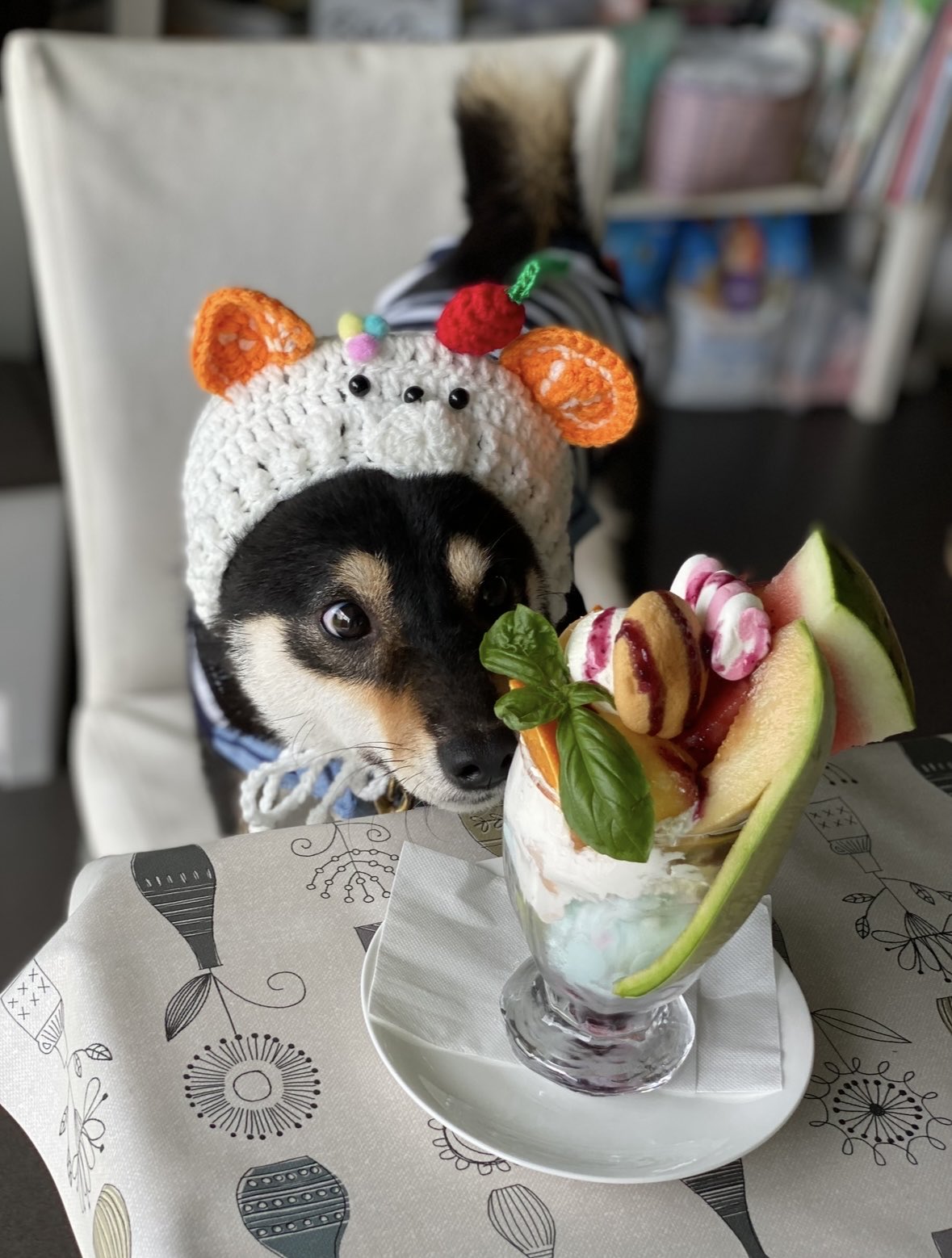 黒柴チョコプリン (@chocopurincess) / X