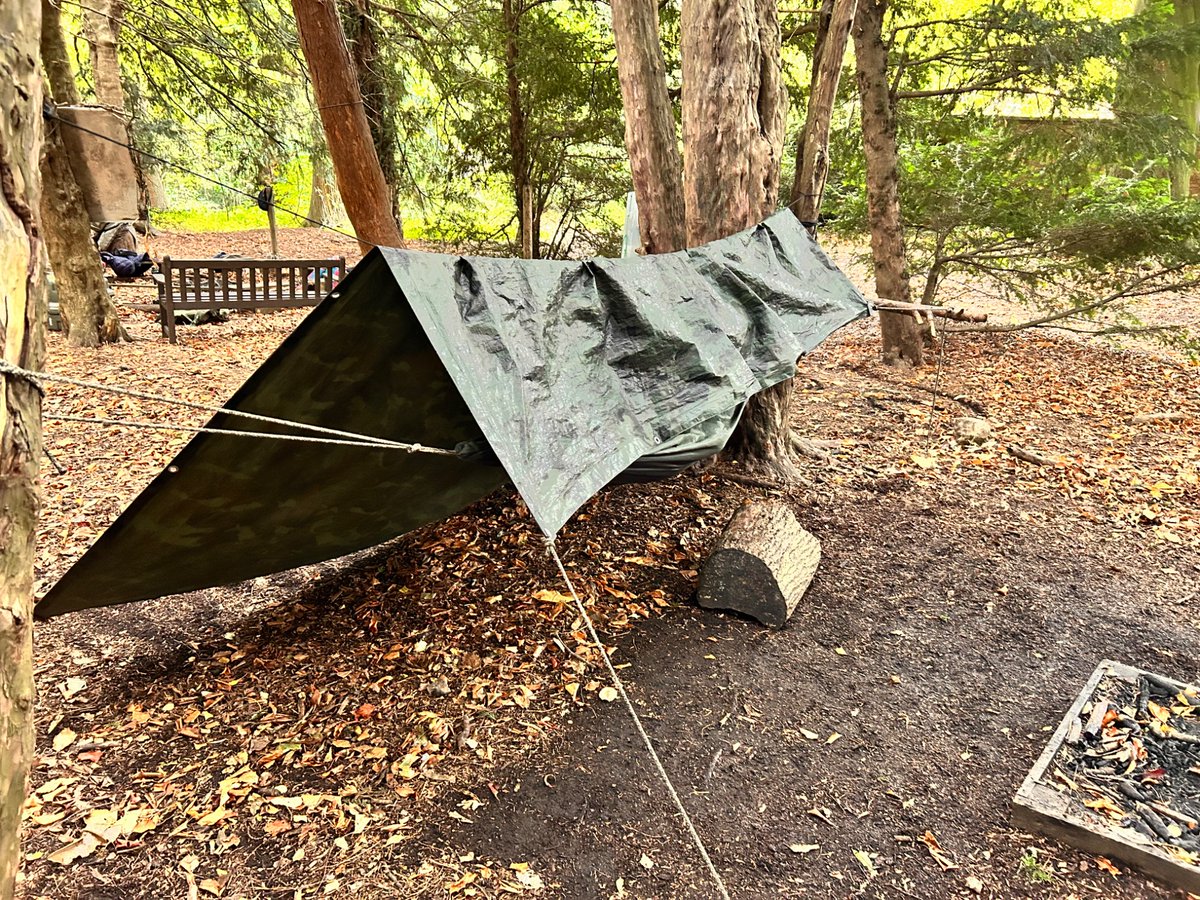 Didsbury CE Primary tweet media