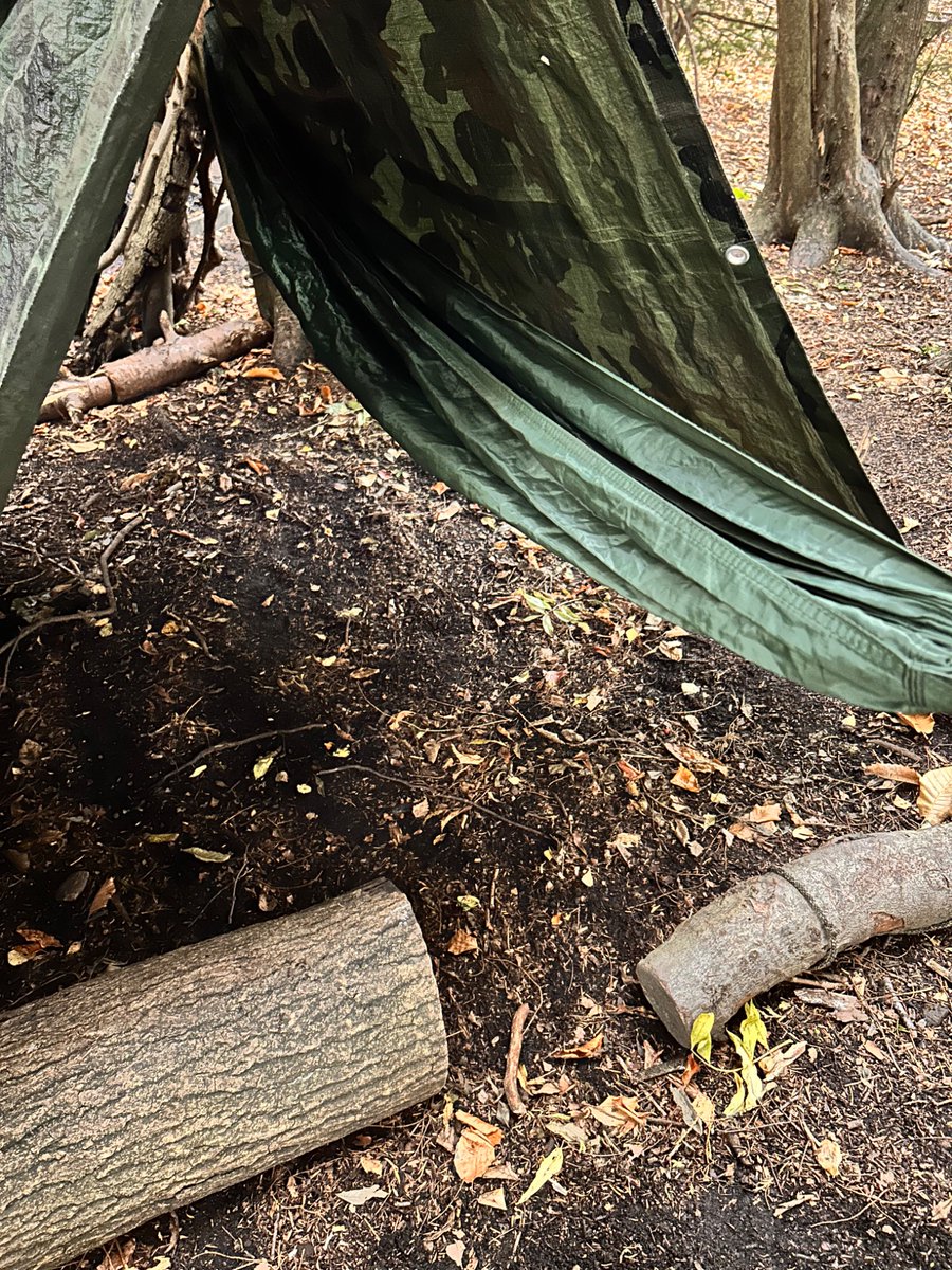 Didsbury CE Primary tweet media