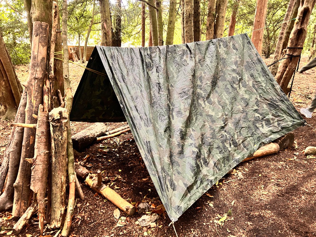 Didsbury CE Primary tweet media