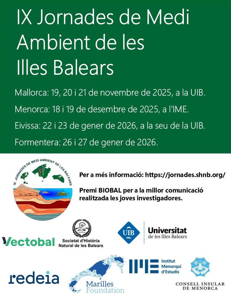 Vectobal tweet media