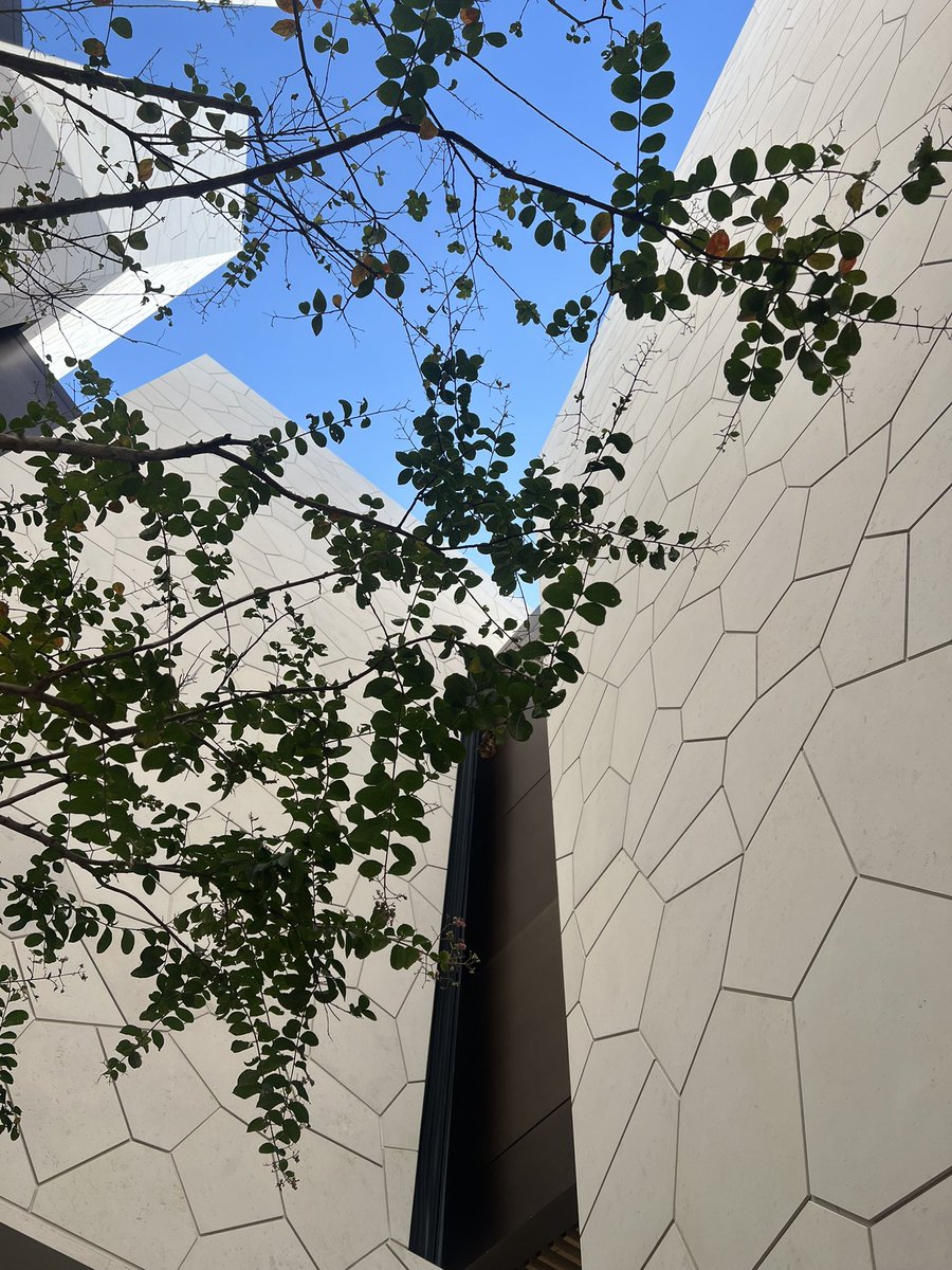 koikano_hsakina's tweet image. 先日ラスト万博に行ってきました🌏
楽しい半年間だった〜✨

そして、9月は誕生日月でした🎂
おめでとうをありがとう！

今年の誕生日は当日を挟んだ4日間ほど高熱で何もできなかったです😂悲しい😂

また一つ歳を重ねて、もっと軽やかに過ごしていきたいな🌷

#レンタル彼女 #コイカノ関西